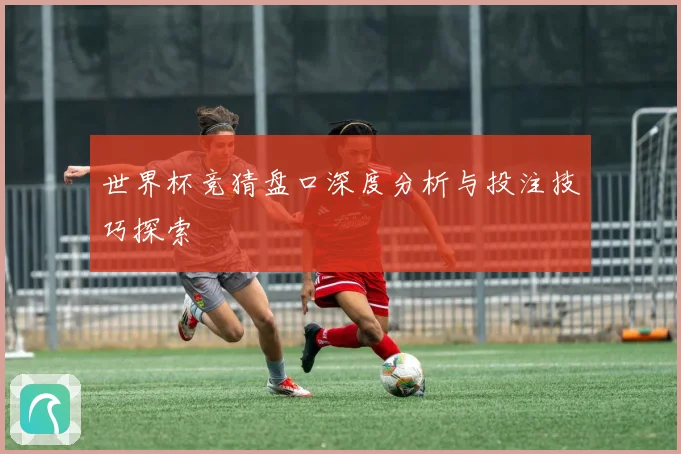 世界杯竞猜盘口深度分析与投注技巧探索